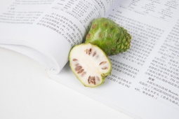 書(shū)中不僅有黃金屋，書(shū)中也藏有黃金果